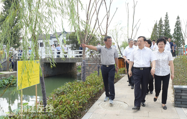 嘉善最新新闻，多维度探析城市发展观点阐述