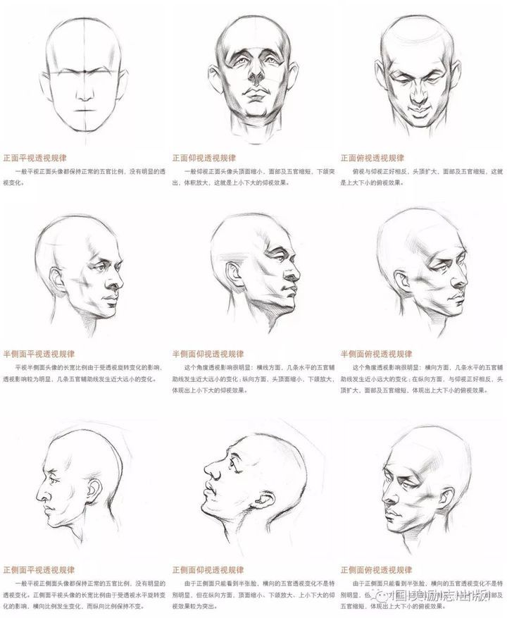 动漫人物侧脸绘画教程，如何绘制生动逼真的动漫人物侧脸
