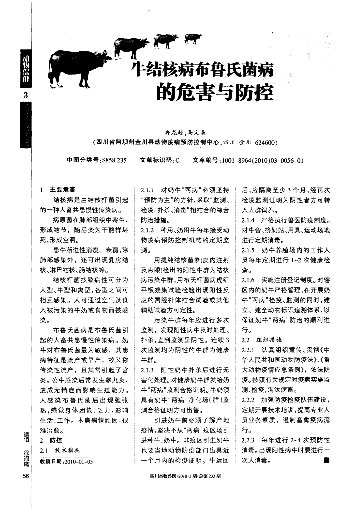 牛病最新动态，背景、进展及其影响概览