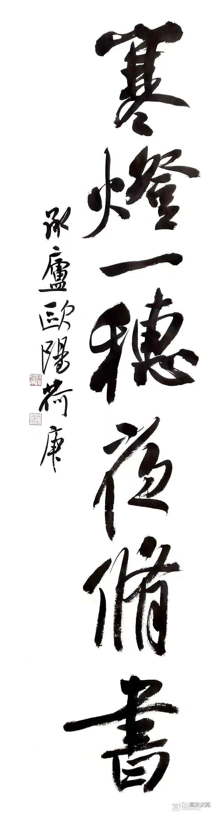 书意最新，探索知识的新境界